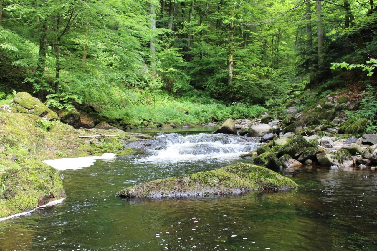 Ferienwohnung Hofleben Reiner Neukirchen vorm Wald Exterior foto
